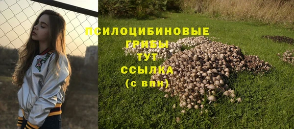прущая мука Наволоки