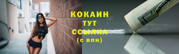 прущие грибы Абдулино