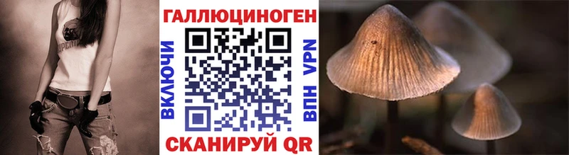 Галлюциногенные грибы GOLDEN TEACHER  Спасск-Рязанский 